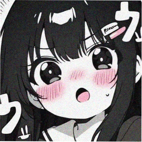 会员青禾头像